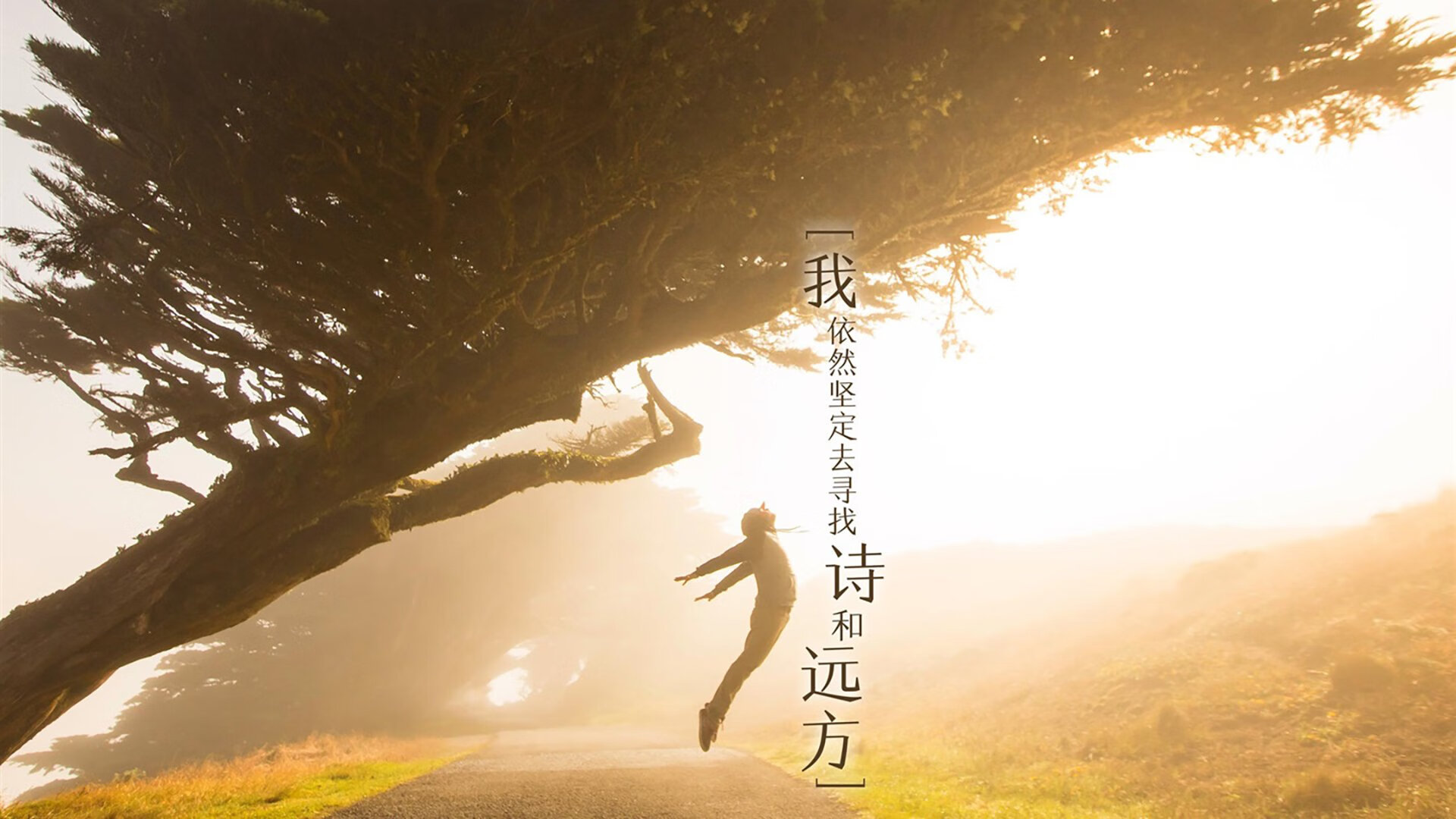 化纤怎么拼（化纤拼音怎么读）