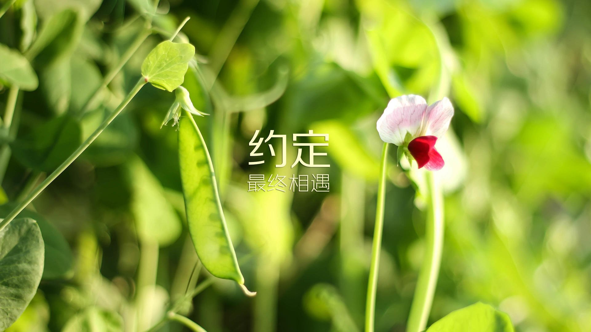 化纤类衣服怎样染色好看（化纤染上色最简单三个步骤）